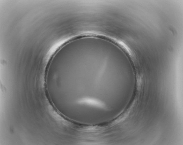 X0000091351279200708101523