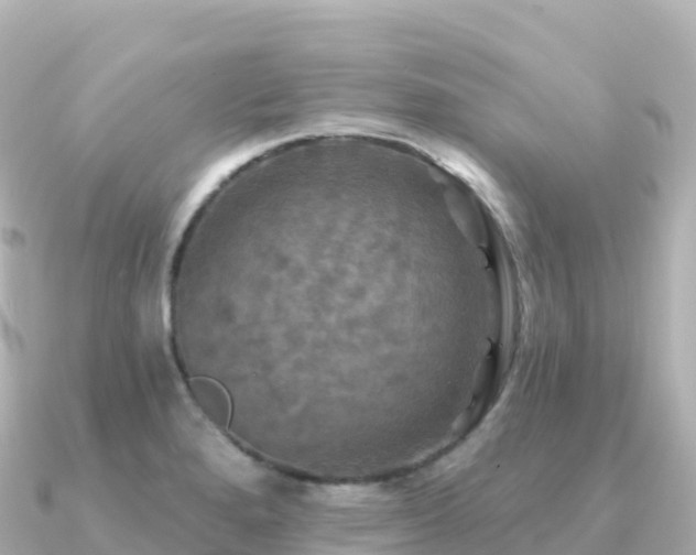 X0000091351280200708101523
