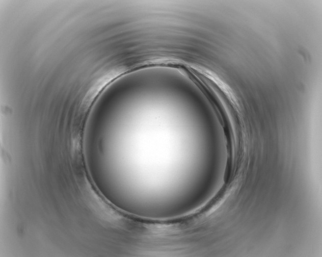 X0000091351281200708101523