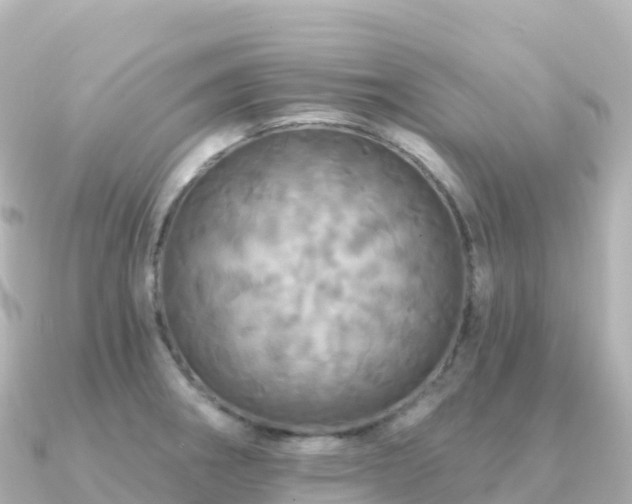 X0000091351282200708101523