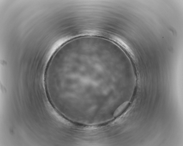 X0000091351283200708101523