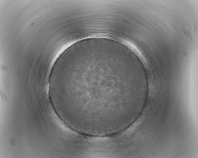 X0000091351284200708101523
