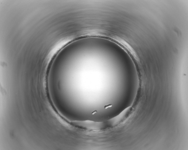 X0000091351285200708101523