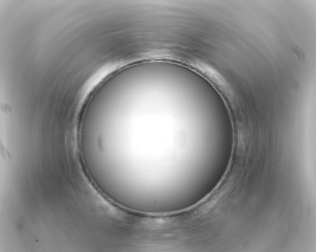 X0000091351286200708101523