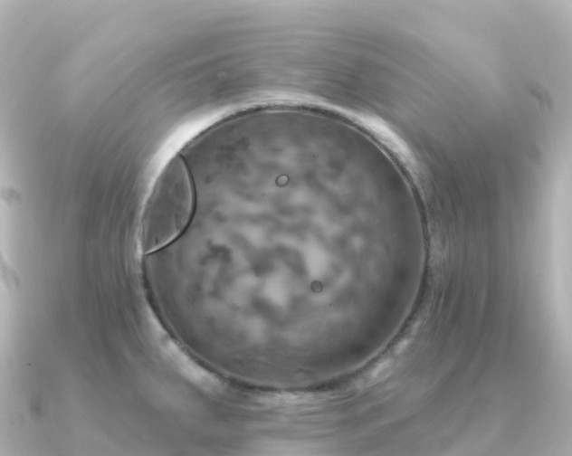 X0000091351287200708101523