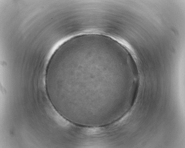 X0000091351288200708101523