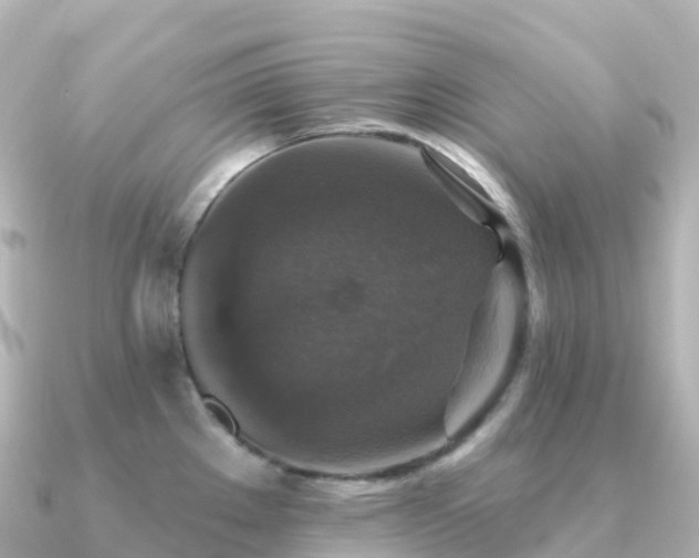 X0000091351289200708101523