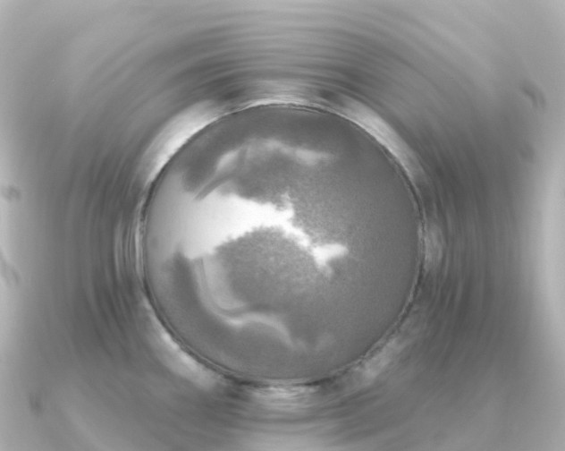 X0000091351290200708101523