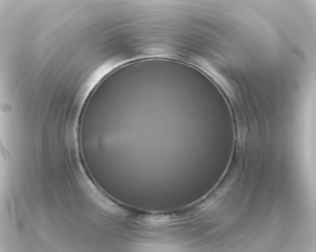 X0000091351291200708101523
