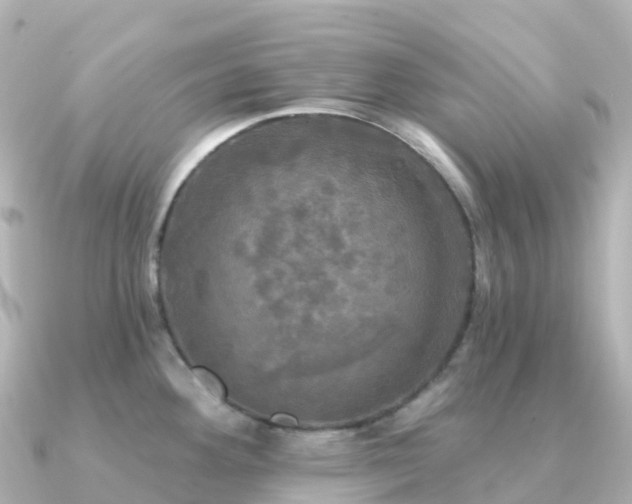 X0000091351292200708101522