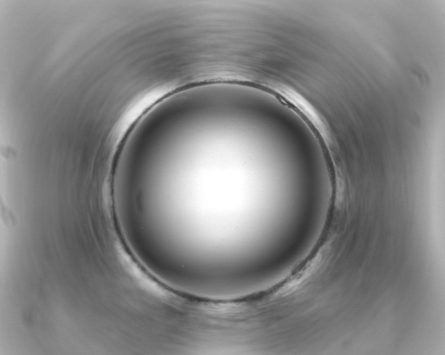 X0000091351293200708101522