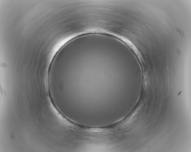 X0000091351295200708101522