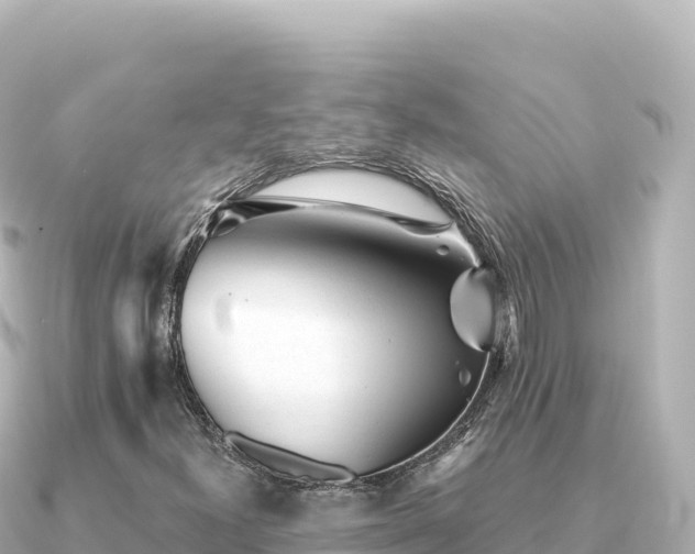 X0000091351300200708101522
