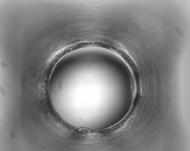 X0000091351304200708101522