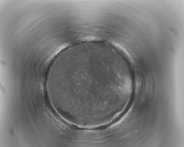 X0000091351305200708101522