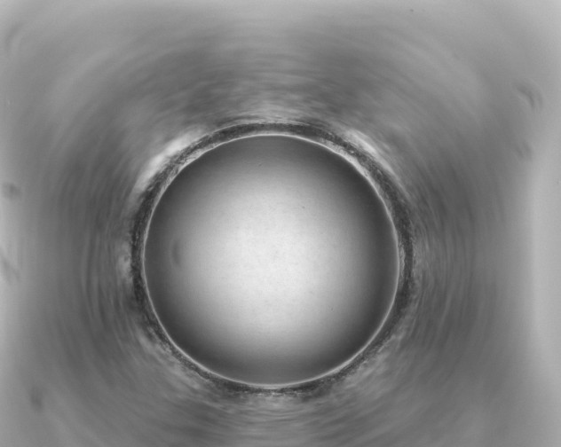 X0000091351307200708101522