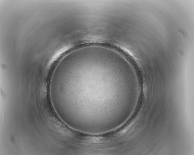 X0000091351309200708101522