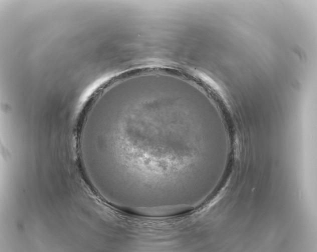 X0000091351310200708101522