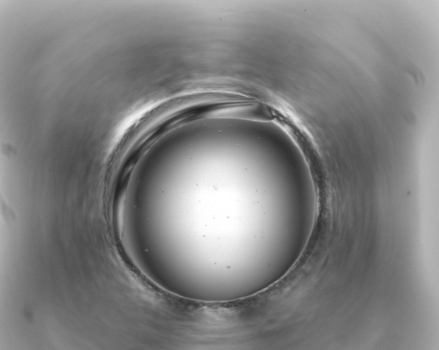 X0000091351312200708101522