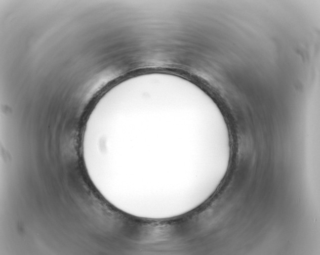 X0000091351314200708101522