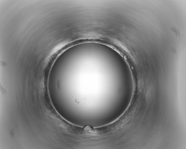 X0000091351315200708101522