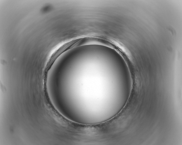 X0000091351316200708101522