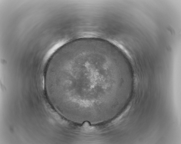 X0000091351317200708101522