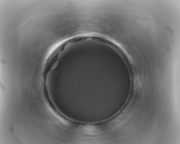 X0000091351319200708101522