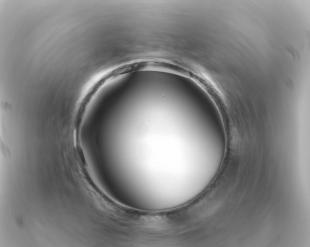 X0000091351320200708101522