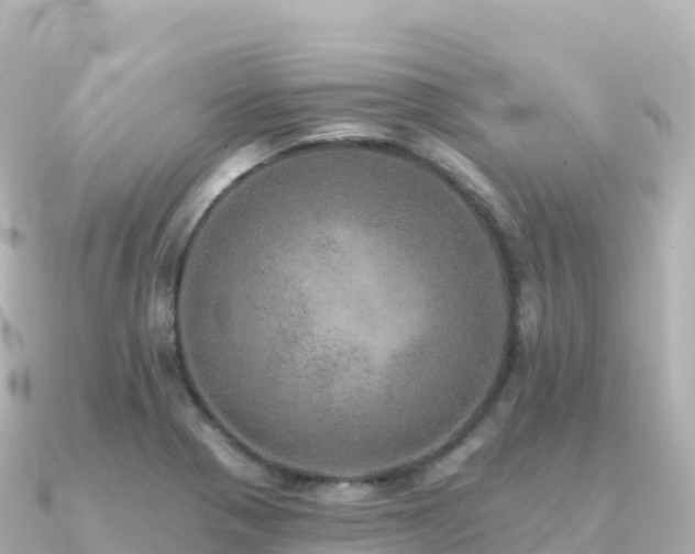 X0000091351321200708101522