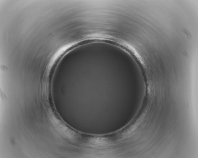 X0000091351323200708101522