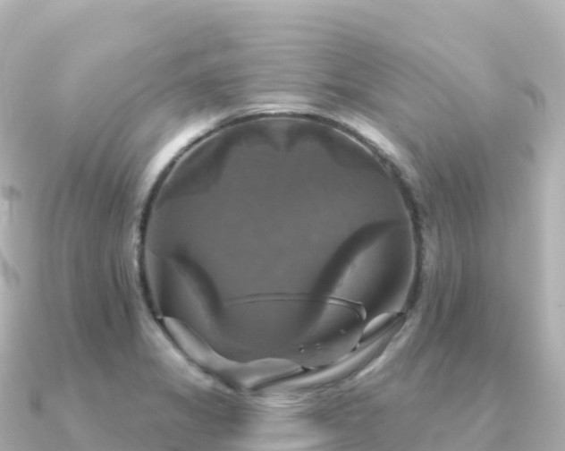 X0000091351325200708101522