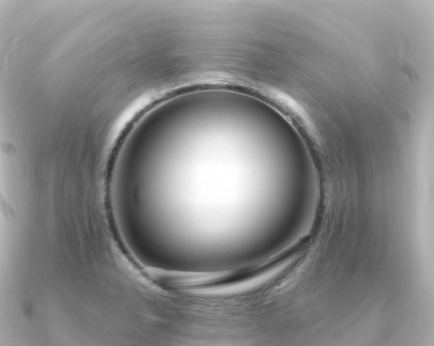 X0000091351326200708101522