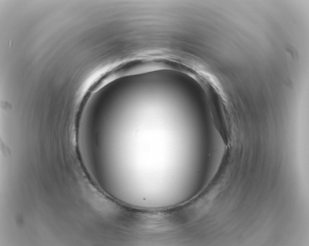 X0000091351328200708101522