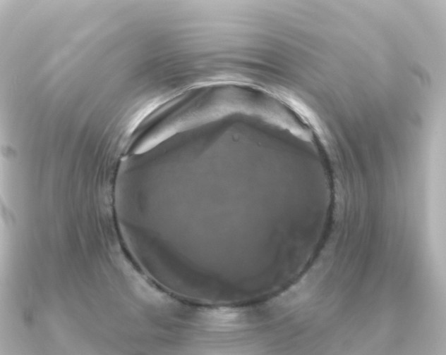 X0000091351329200708101522