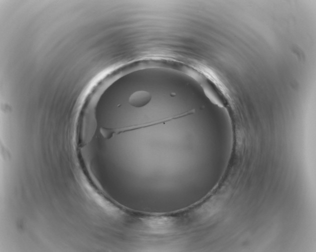 X0000091351331200708101522