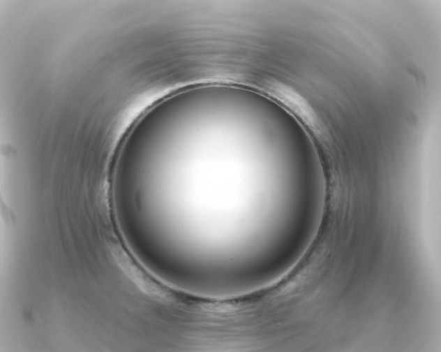 X0000091351332200708101522