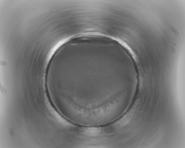 X0000091351333200708101522