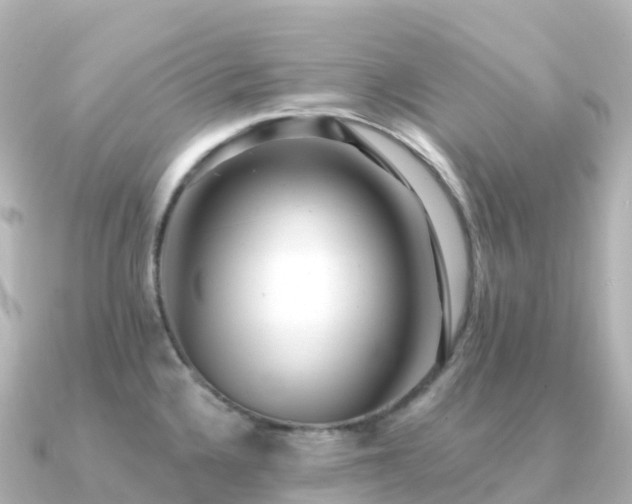 X0000091351336200708101522