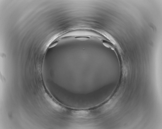 X0000091351337200708101522