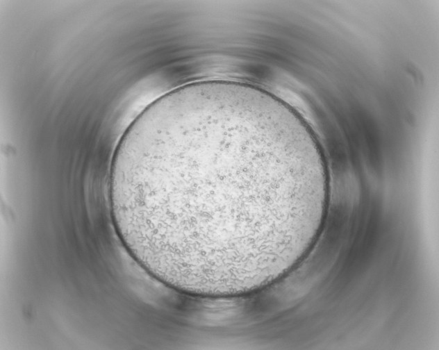 X0000091351338200708101522