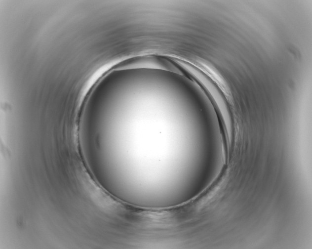 X0000091351340200708101522