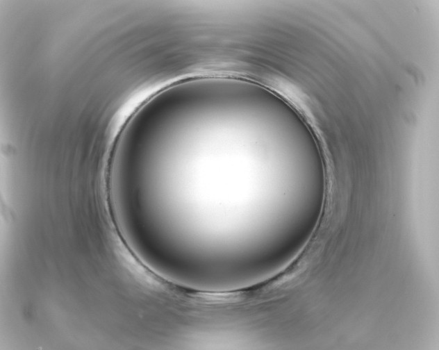 X0000091351344200708101522