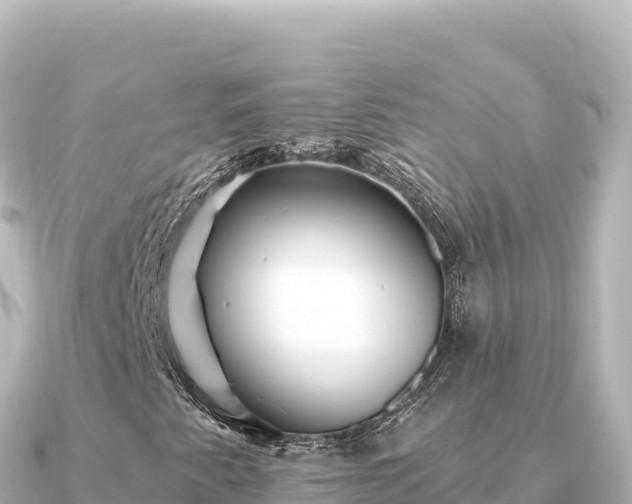 X0000091351345200708101522