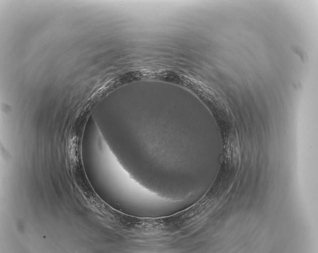 X0000091351346200708101522