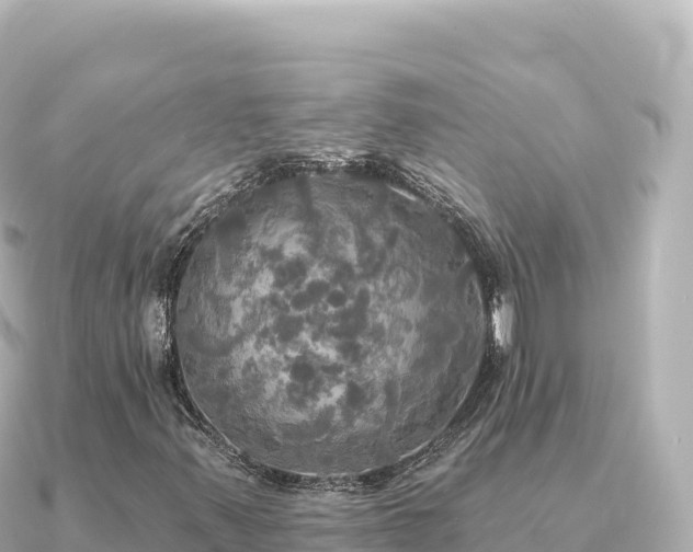 X0000091351347200708101522