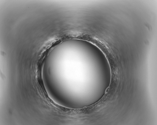 X0000091351349200708101522