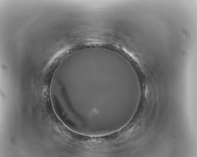 X0000091351351200708101522