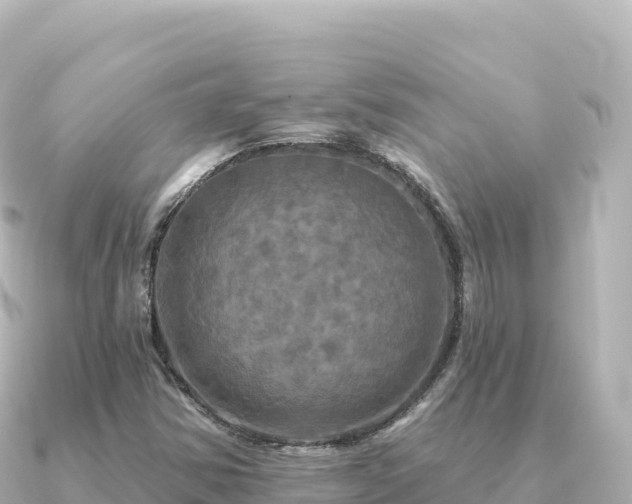X0000091351354200708101522