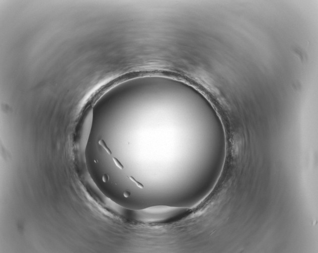 X0000091351356200708101522